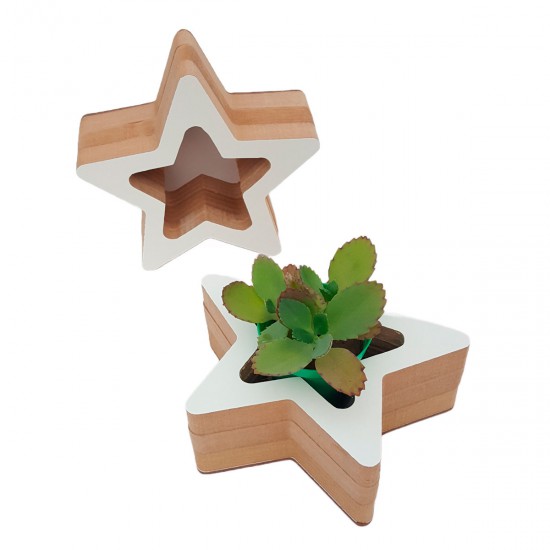 Adorno de Estrella Contenedora 15 x 6 cm