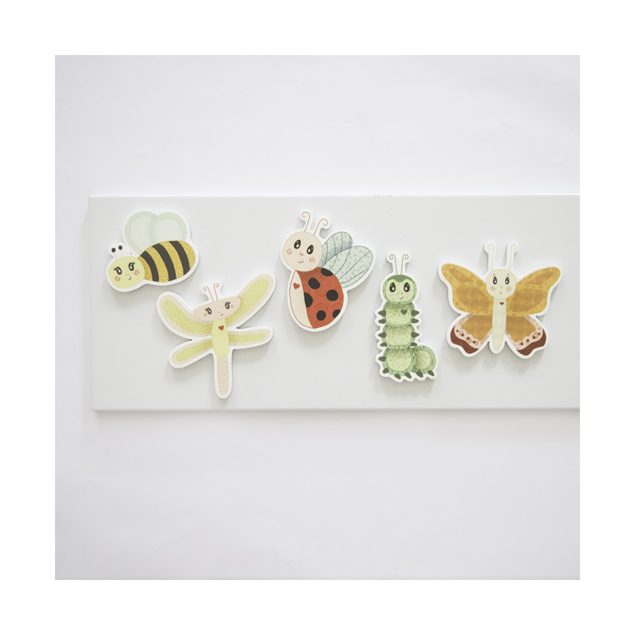 Set De Imanes Insectos