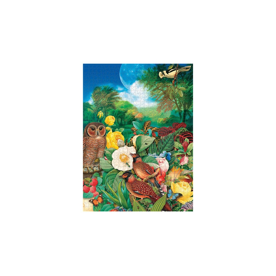 Puzzle 1000 Piezas Jardin De Luna