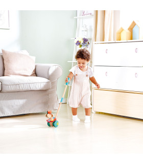 Juguete de Empuje Jardín Hape