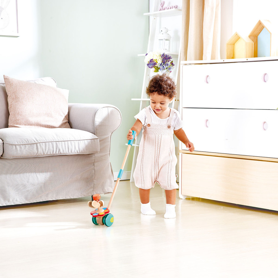 Juguete de Empuje Jardín Hape