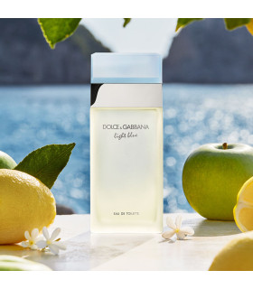 Perfume Dolce Gabbana Light Blue Eau De Toilette 100 ml