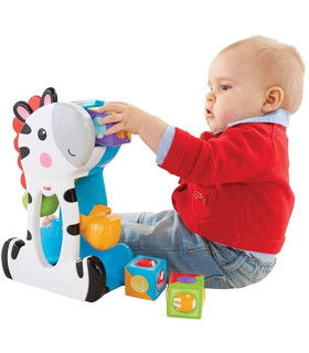 Cebra Bloques De Actividades Fisher Price