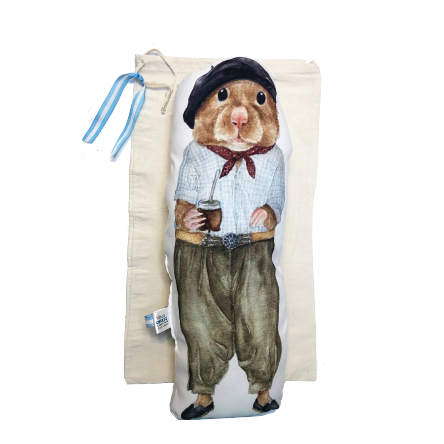 Almohadon Colección Nina Explora Argentina Zoilo El Gaucho