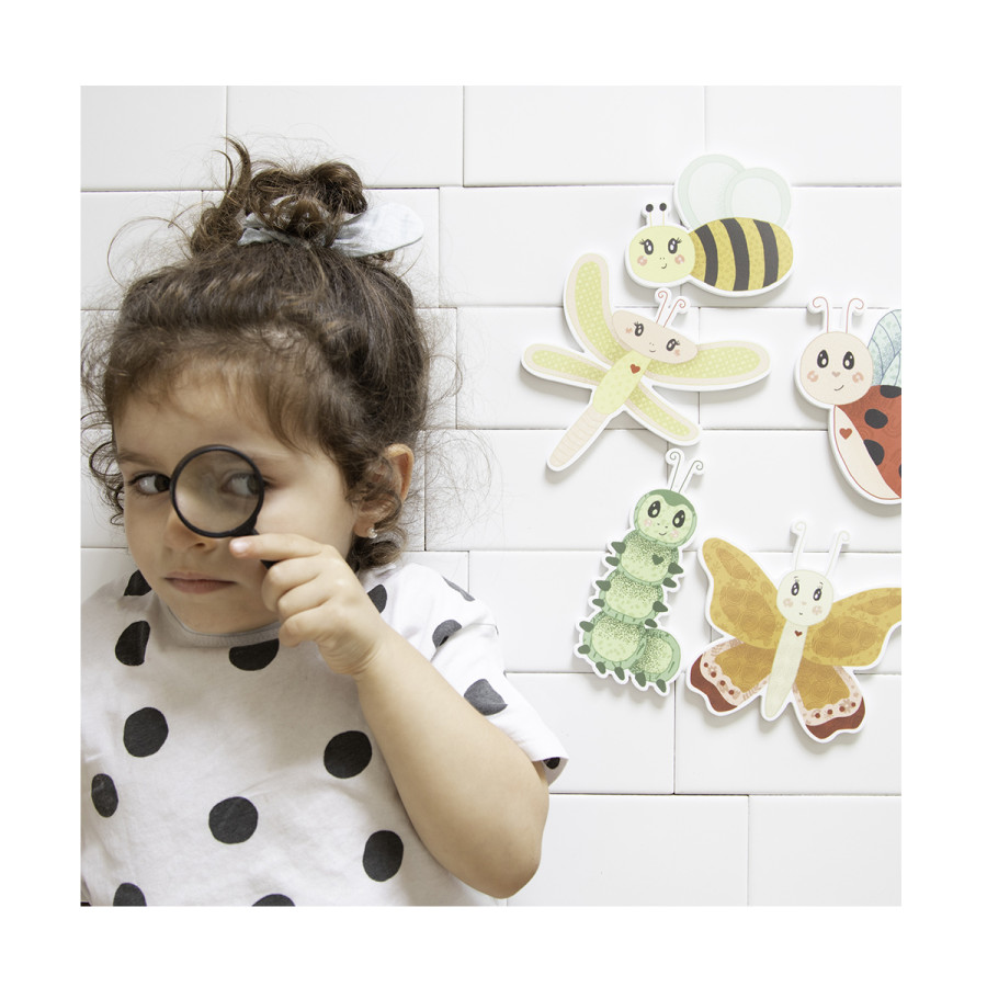 Insectos Para El Agua