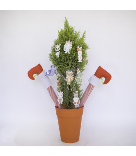 Animales Del Bosque Para El Agua Edicion Navidad