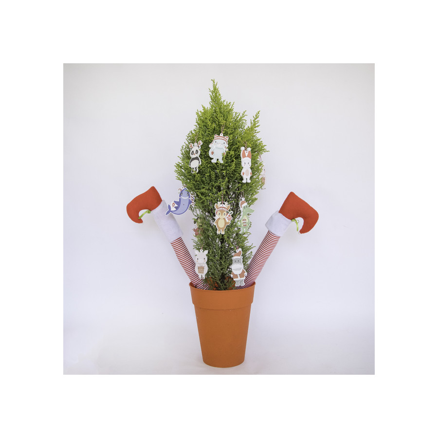 Animales Del Bosque Para El Agua Edicion Navidad