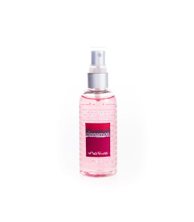 Aromatizador de 100 cm3 Cinnamon Nativa