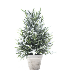 Pino Nevado en Maceta 40 cm Alparamis