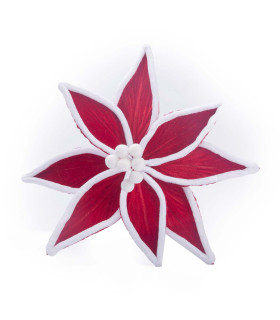 Adorno Estrella Federal Bordó con Blanco 29 cm Alparamis