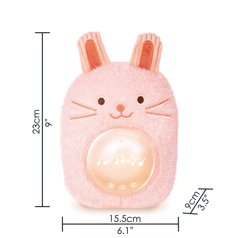 Amigo con Luz y Musical Huggy Roro Hape