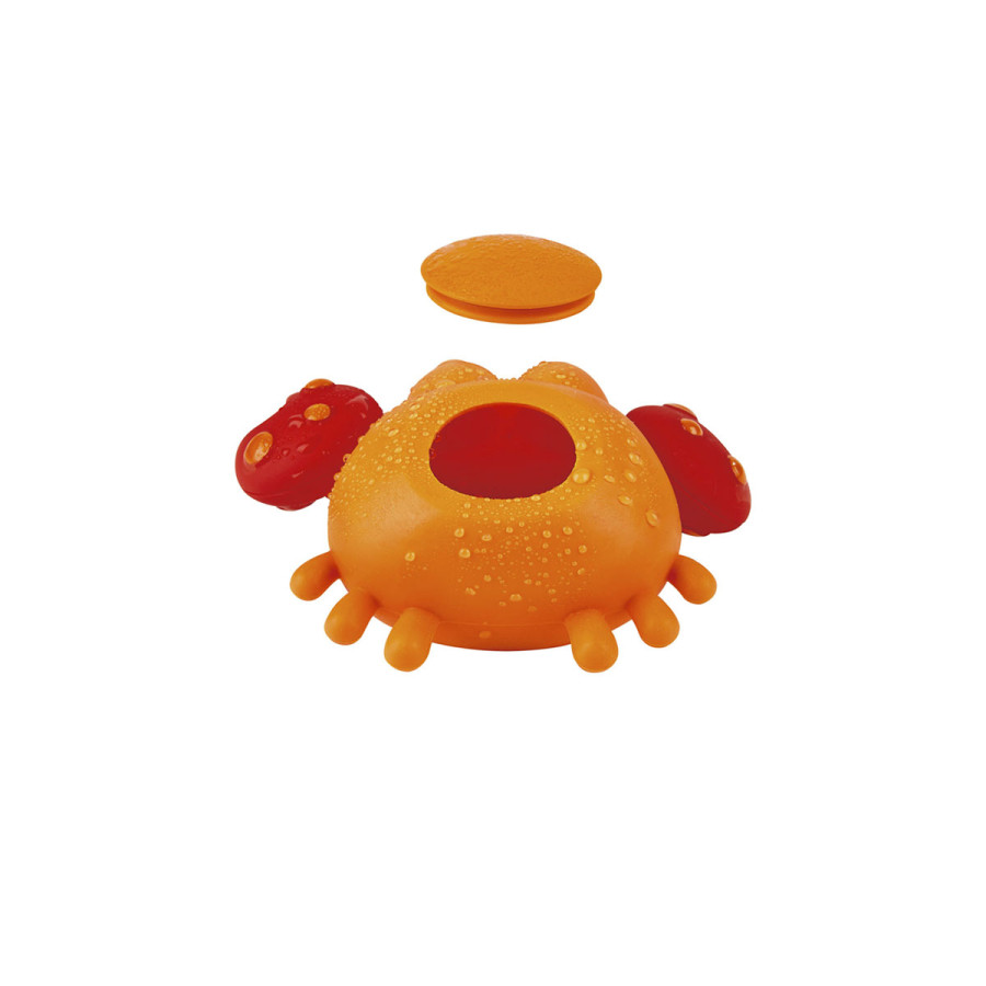 Amigos de Pileta Rocosa Hape Juguete con Chorro de Agua para el Baño