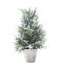 Pino Nevado en Maceta 40 cm Alparamis