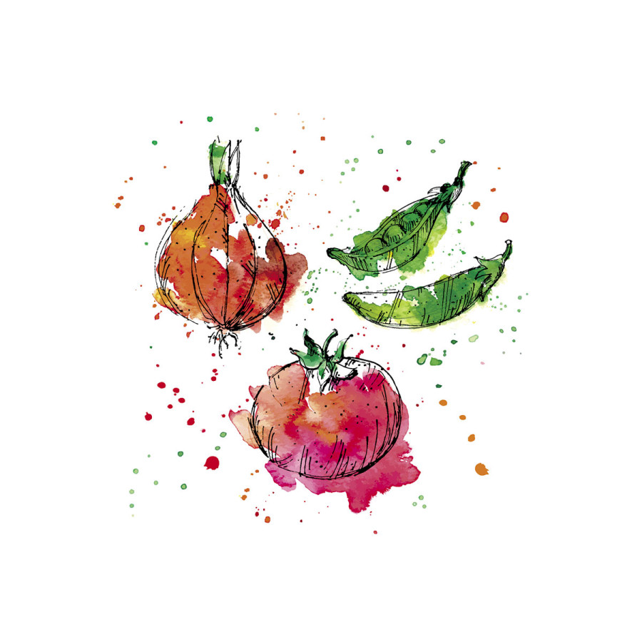 Servilletas 33x33 Splash Veggie