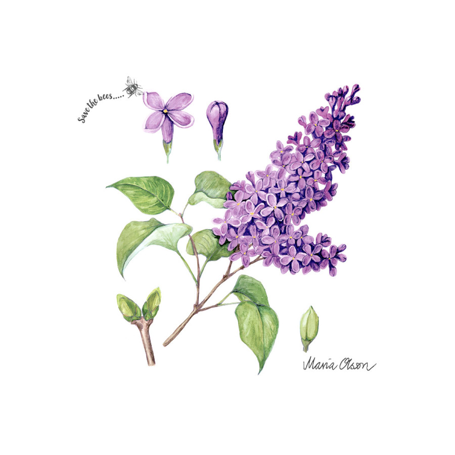 Servilletas 33 x 33 cm Lilac