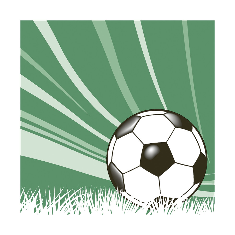 Servilletas 33 x 33 cm Football Season