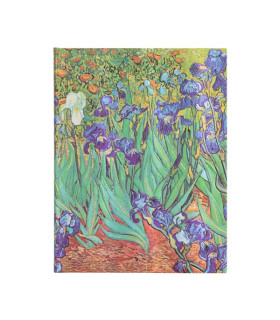Cuaderno Rayado Universitario Tapa Dura Lirios De Van Gogh