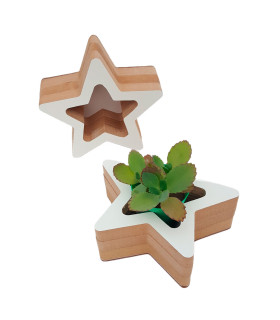Adorno de Estrella Contenedora 15 x 6 cm