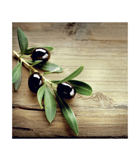 Servilletas 33 x 33 cm Lunch Fresh Bread