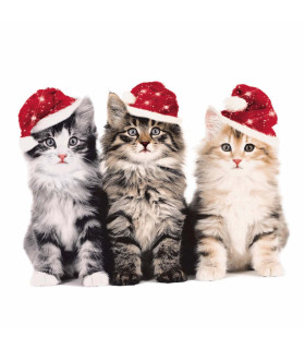 Servilletas 33 x 33 cm Xmas Cats