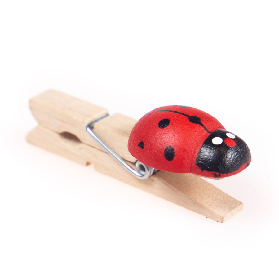 Broche con Vaquita de San Antonio