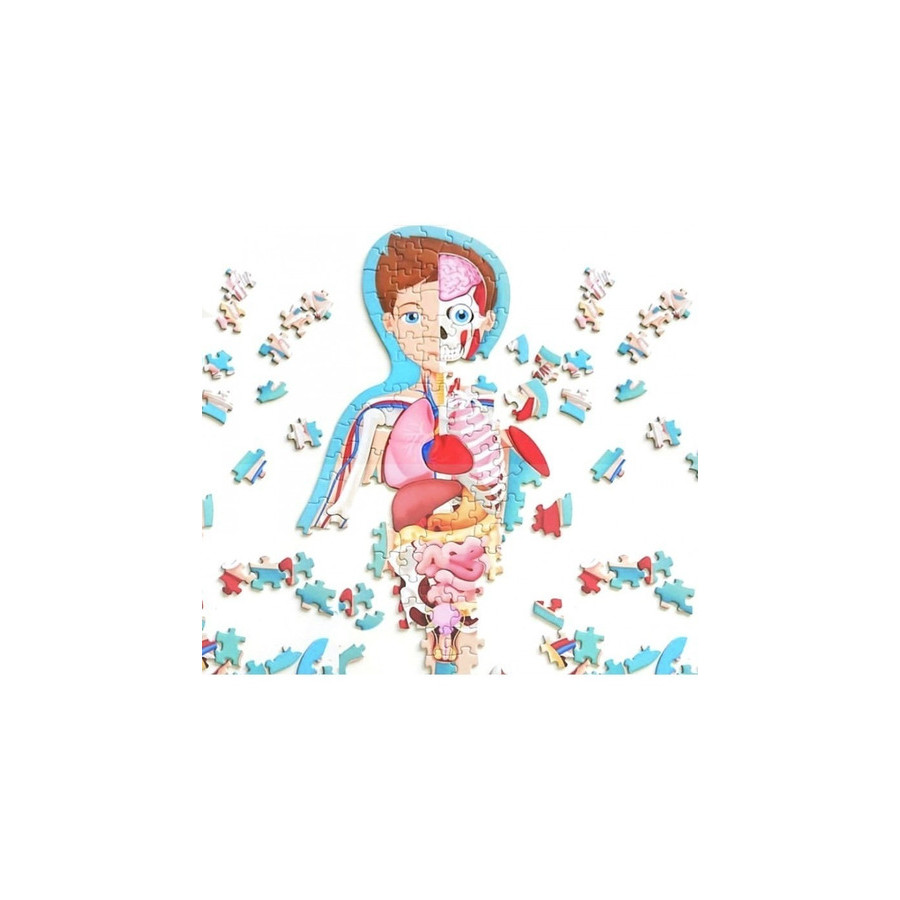 Libro Más Rompecabezas Todo Sobre El Cuerpo Humano