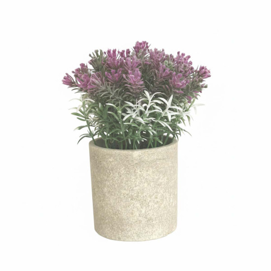 Lavanda en Maceta 22 cm Alparamis