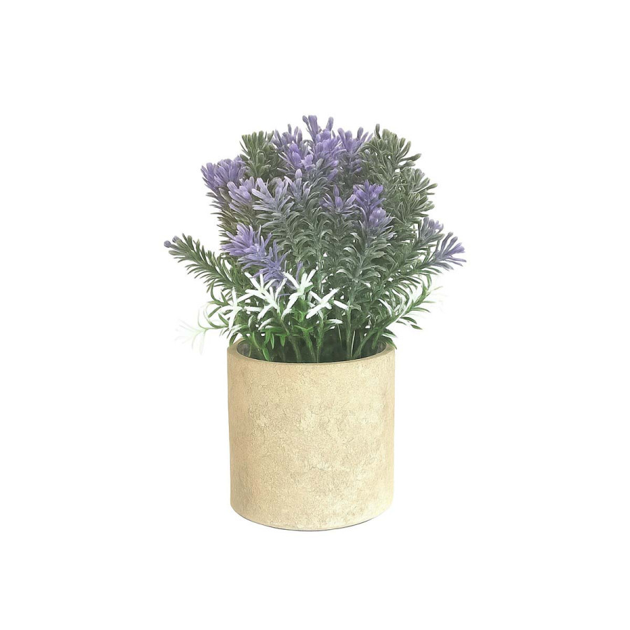 Lavanda en Maceta 22 cm Alparamis