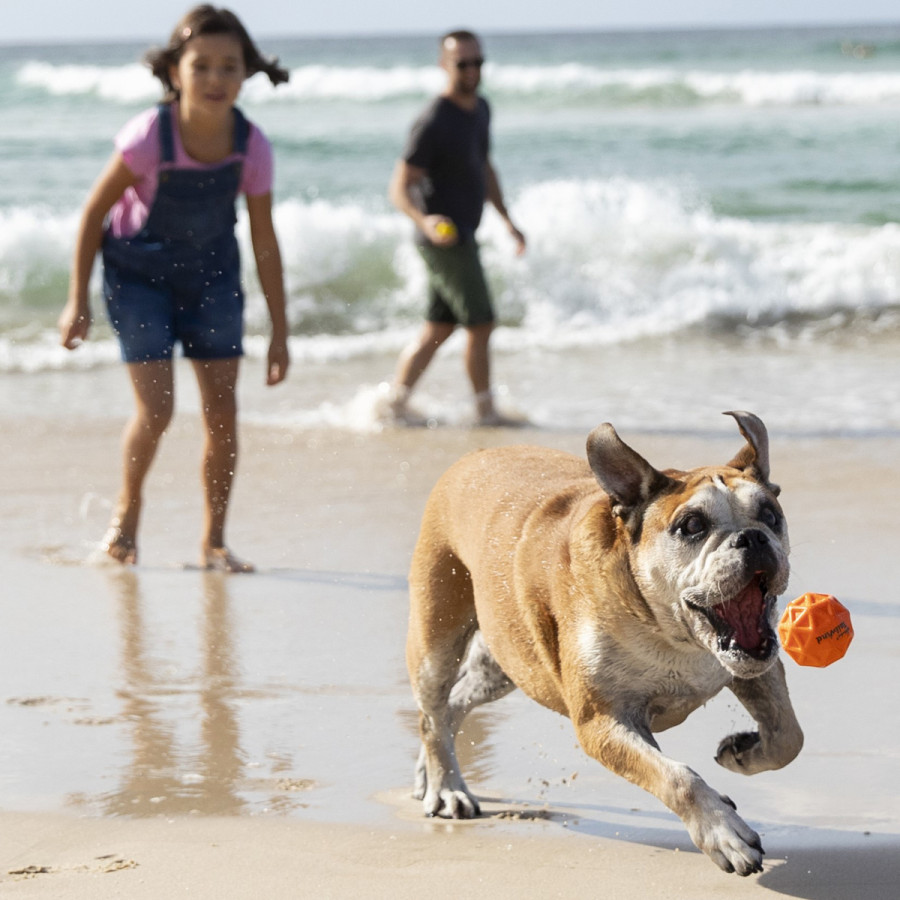 Pelota para Perros Tailwind Waboba