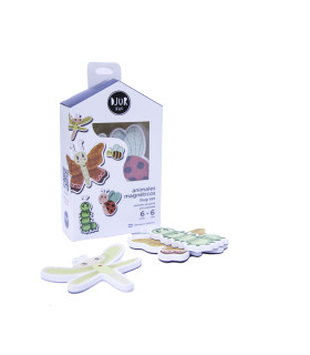 Set De Imanes Insectos
