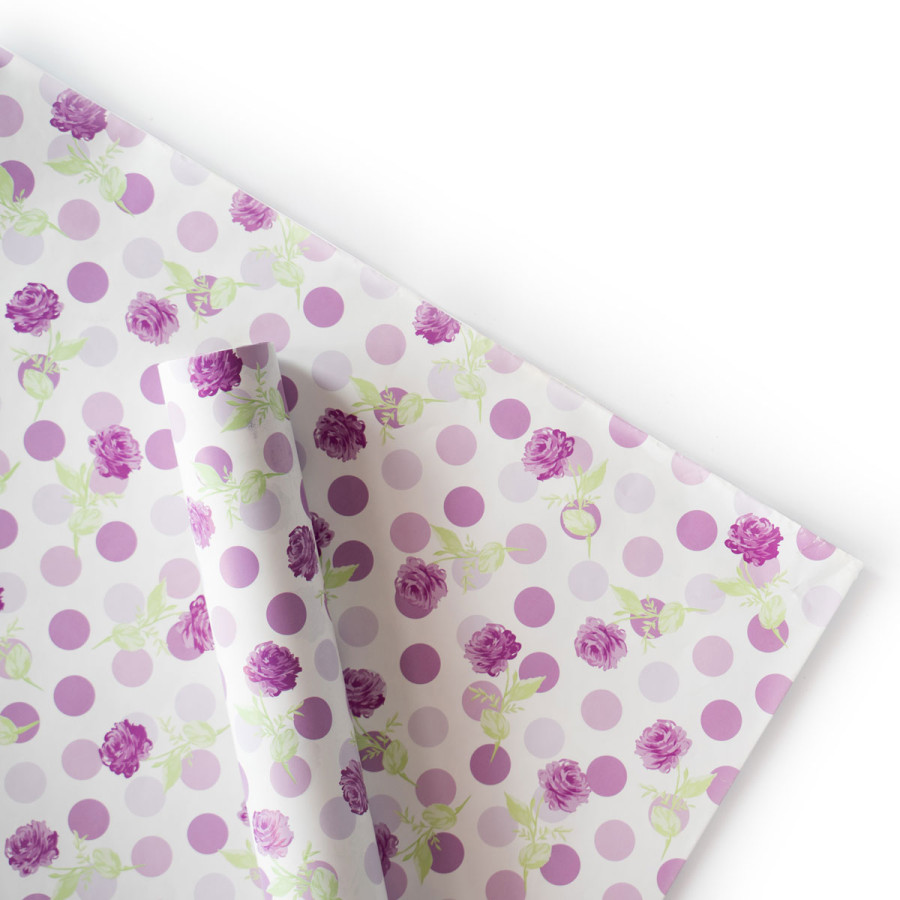 Papel de Regalo de la Princesa Alegra x 2