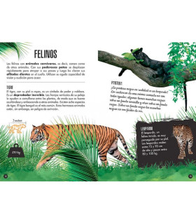 Libro Más Maqueta 3D La Selva Elefante