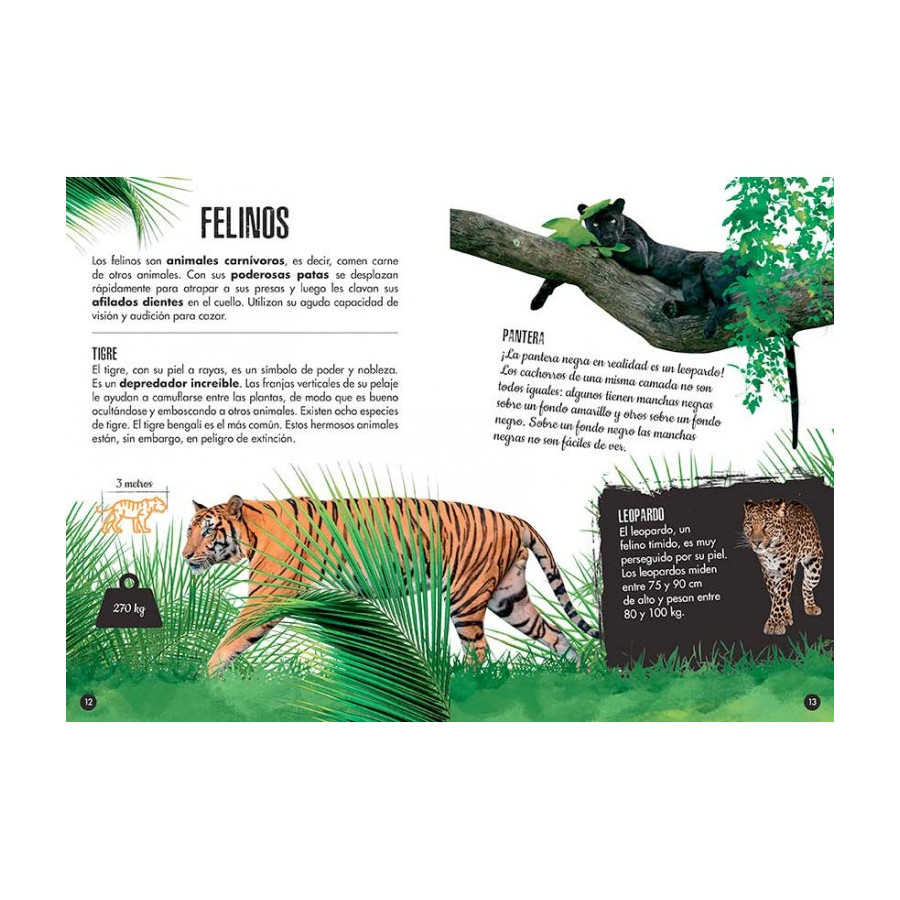 Libro Más Maqueta 3D La Selva Elefante
