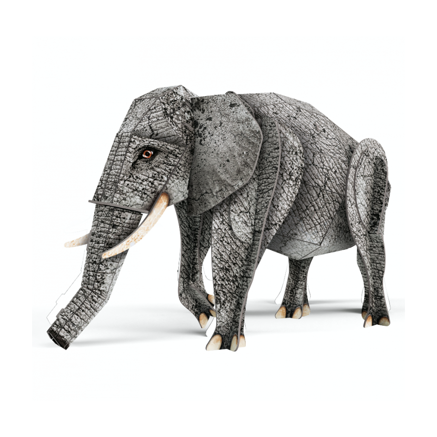 Libro Más Maqueta 3D La Selva Elefante