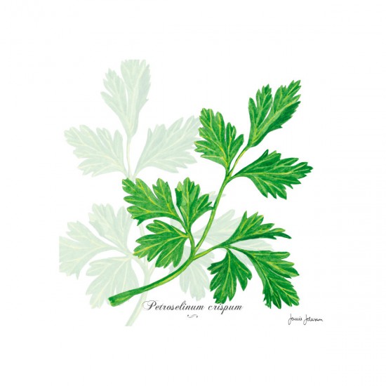 Servilletas 33 x 33 cm Parsley