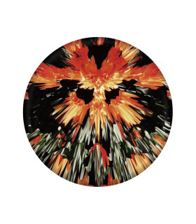 Frisbee De Silicona Wingman Pro 21 cm Waboba