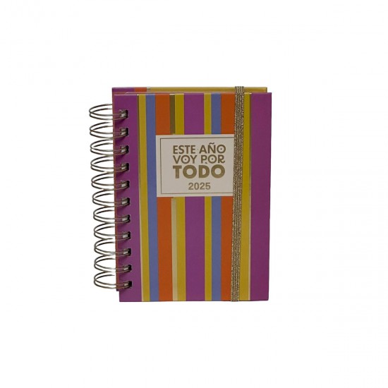 Agenda 2025 Diaria 10 x 15 cm Rayas