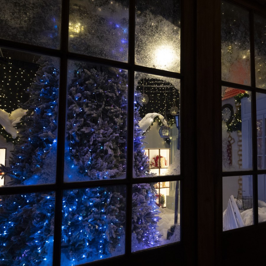 Viaje Mágico al Polo Norte en Diciembre