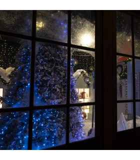 Viaje Mágico al Polo Norte