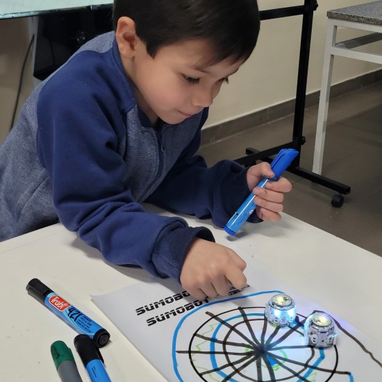 Taller de Robótica TecnoKids 6 a 8 años en Alparamis Palermo