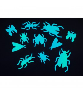 Figuras Fluorescentes Crea Tu Noche Bichos