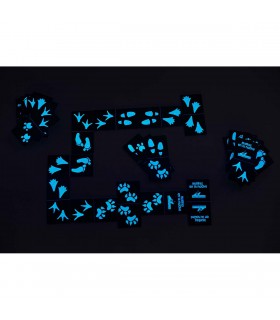 Domino Fluorescente Huellas En La Noche