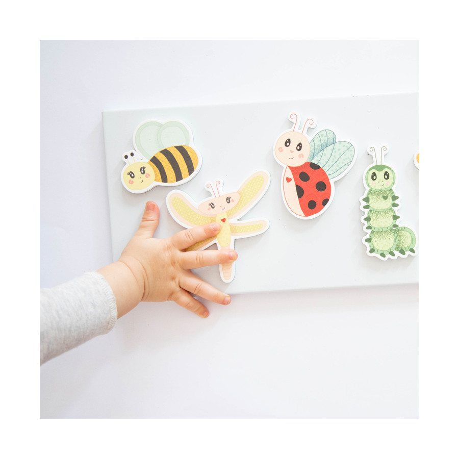 Set De Imanes Insectos