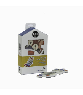 Rompecabezas Magnetico Transportes Zorro