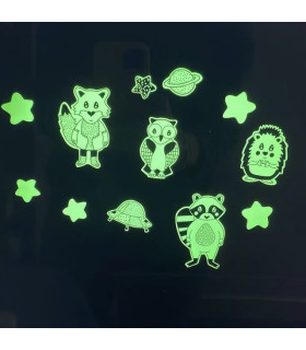 Vinilos Glow In The Dark Nocturnos