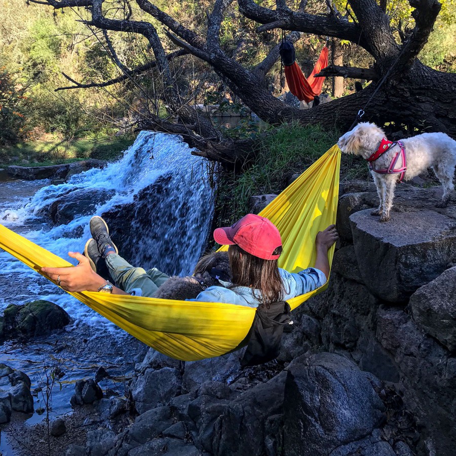 Oruga Hamaca Paraguaya Amarilla