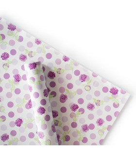 Papel de Regalo de la Princesa Alegra x 2