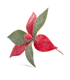 Adorno Estrella Federal Roja y Verde 22 cm Alparamis A24-3831