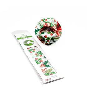 Danesa chica Muérdago para armar x 3