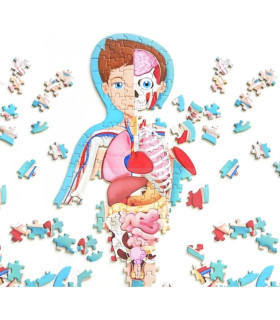 Libro Más Rompecabezas Ovalado El Cuerpo Humano